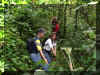 caura_selva_w.jpg (62037 bytes)