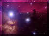 horsehead_tan.jpg (55497 bytes)
