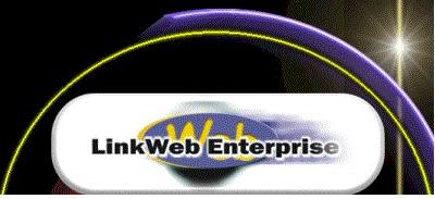 linkwebenterprise.com