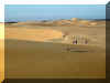 medanos500.jpg (25524 bytes)