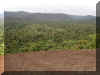 selva_amazonica_veenzolana_w.jpg (65005 bytes)