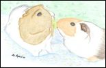 Merry's Pigs