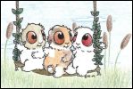 Merry's Pigs