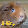 Hillary
