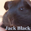 Jack Black