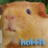 Phoebe
