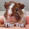 The Tot