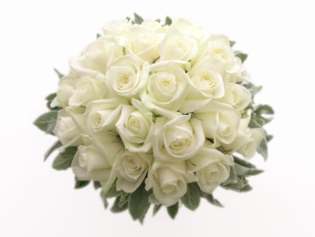 widding