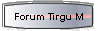 Forum Tirgu M