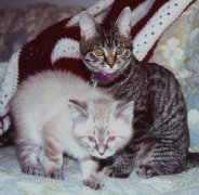 Sera & Sydney 1999