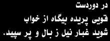 Sohrab Sepehri: Contemporary Iranian Poet