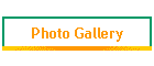 Photo Gallery