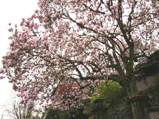 corner