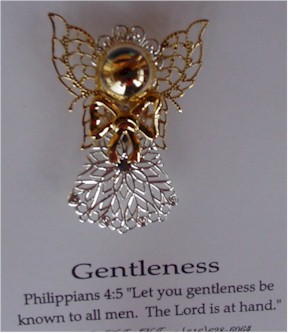 pin-gentleness.jpg (25500 bytes)