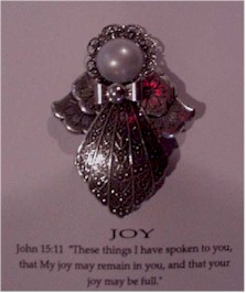 pin-joy.jpg (15545 bytes)