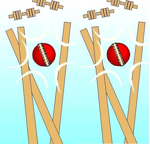Enjoy Cricket