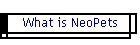 What is NeoPets