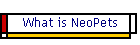 What is NeoPets