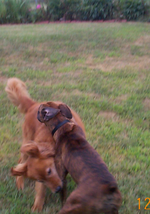 She always let me win.