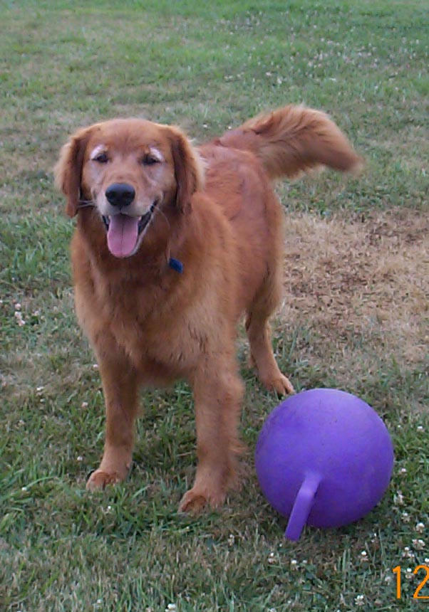 I love this ball.