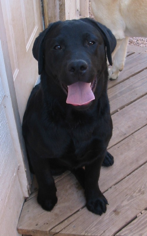 Abbey May 2007 Photo