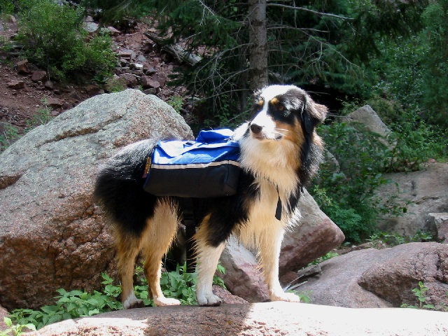 Hiking Photo