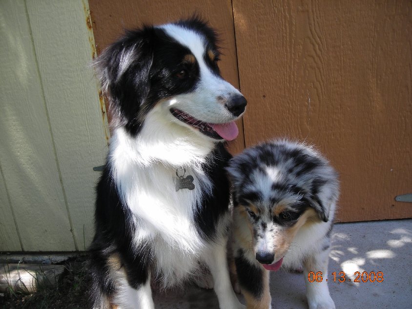 Pepper and "Camo"