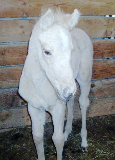 Patty - 3/21/04