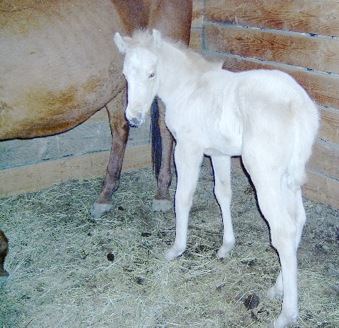 Patty - 3/21/04