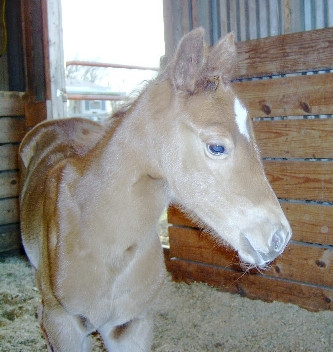Selma - 3/21/04