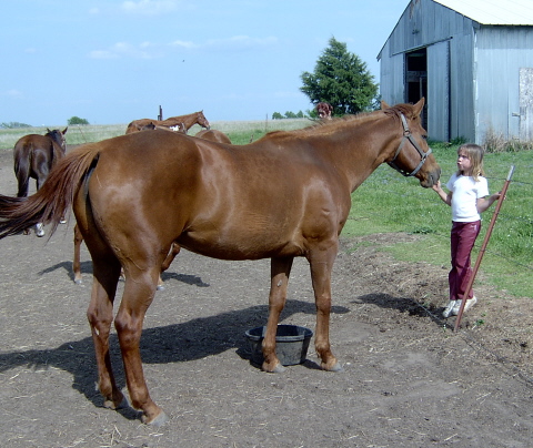 Tazz and Abbey - 4/30/03