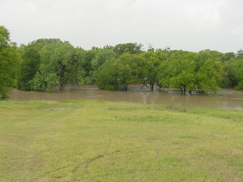 Medio Creek