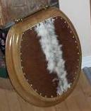 Toilet Seat
