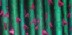 long stemmed roses