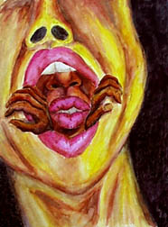 the shell