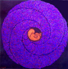 fetal