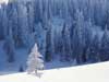 snow