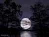 bluemoon
