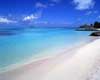 paradise