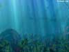 water song