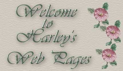 welcome to Harleys Web Pages