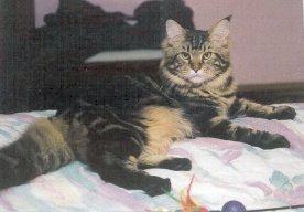 big bend @ 2� years old