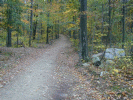 The trail near the beginning. It's close to a mile from the road to the summit.
