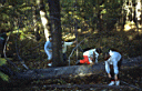 outdoor_grok3.jpg