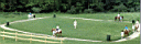 outdoor_horse1.jpg