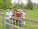 outdoor_horse3.jpg