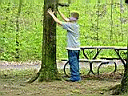 outdoor_hugatree1.jpg