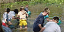 outdoor_marsh2.jpg