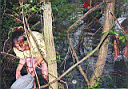 outdoor_marsh3.jpg
