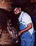 summer_horses10.jpg